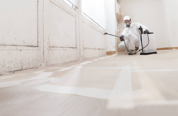 24/7 Emergency Bathroom Mold Removal experts in Highlands, NC
